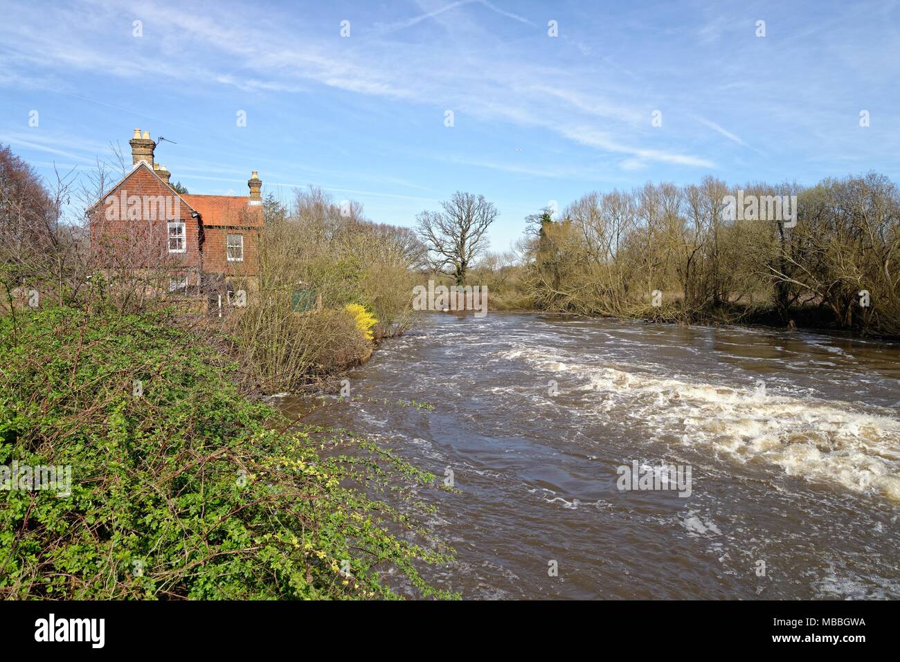 La rivière Wey dans inondation à Walsham weir Ripley Surrey England UK Banque D'Images