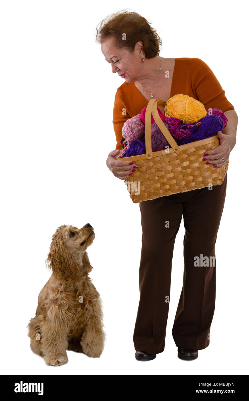 Vieille Femme avec un panier de balles colorées de laine à tricoter et son chien en se penchant pour regarder le cocker américain qui est à son tour à la recherche jusqu'à son Banque D'Images