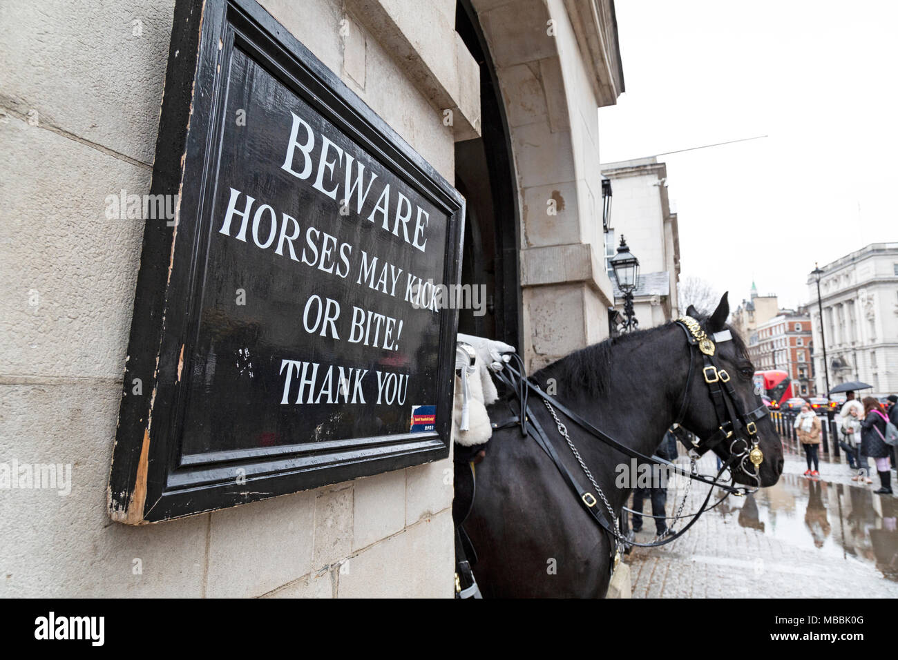 Un cheval de la Garde côtière canadienne Vie Queens sur Whitehall, Londres. Un signe de touristes d'avertissement "Attention les chevaux peuvent rejoindre votre chambre ou morsure ! Merci'. Banque D'Images