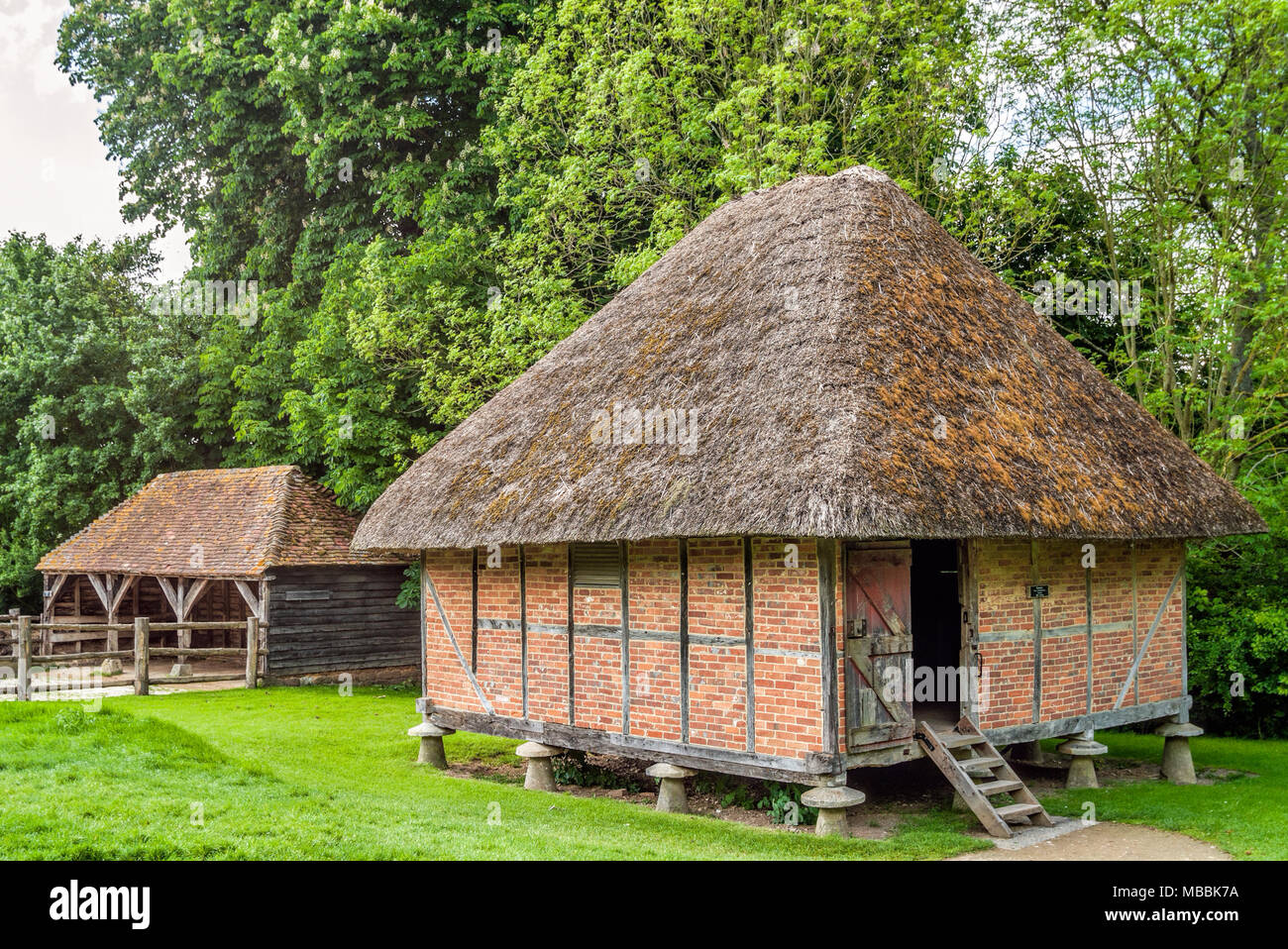 Maisons historiques exposées au musée en plein air Weald & Downland à Singleton, West Sussex, Angleterre Banque D'Images