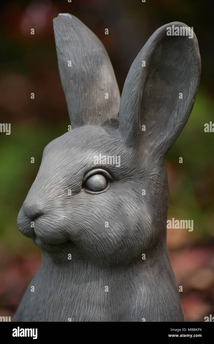 Lapin Pierre chillin' dans le jardin Banque D'Images