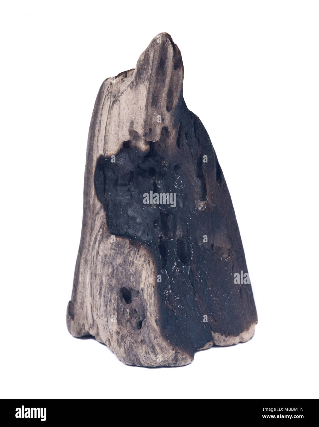 En partie brûlée morceau de bois carbonisé de la plage isolé sur fond blanc Banque D'Images