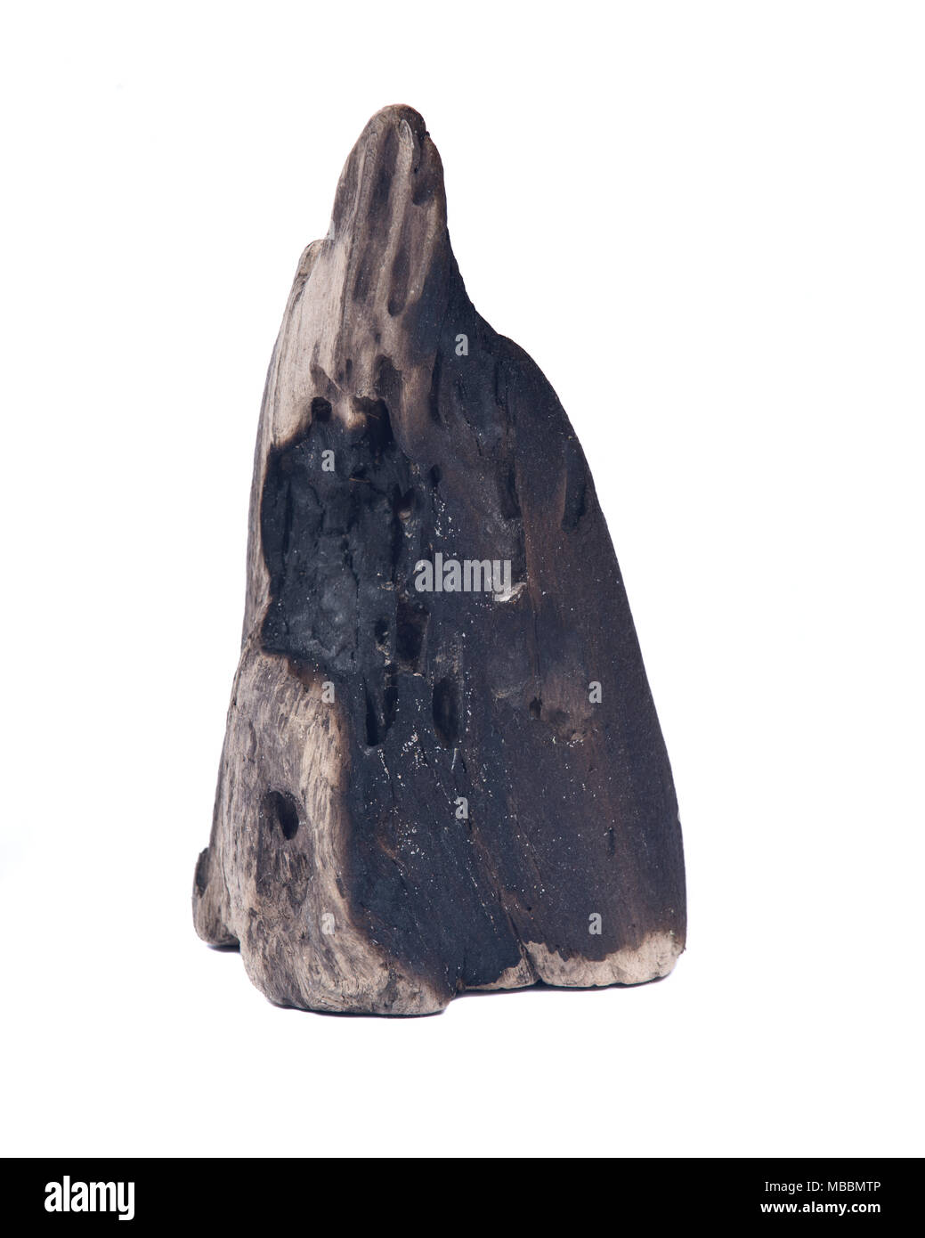 En partie brûlée morceau de bois carbonisé de la plage isolé sur fond blanc Banque D'Images