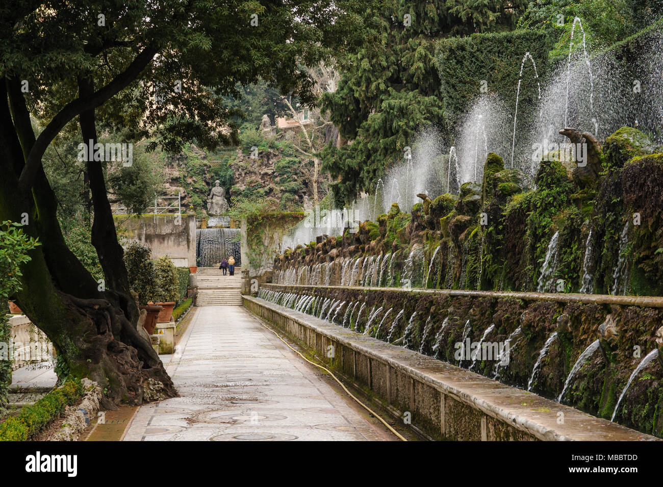 TIVOLI, ITALIE - 28 janvier 2010 : cent fontaines sur le côté du chemin dans la Villa d'Este. Banque D'Images