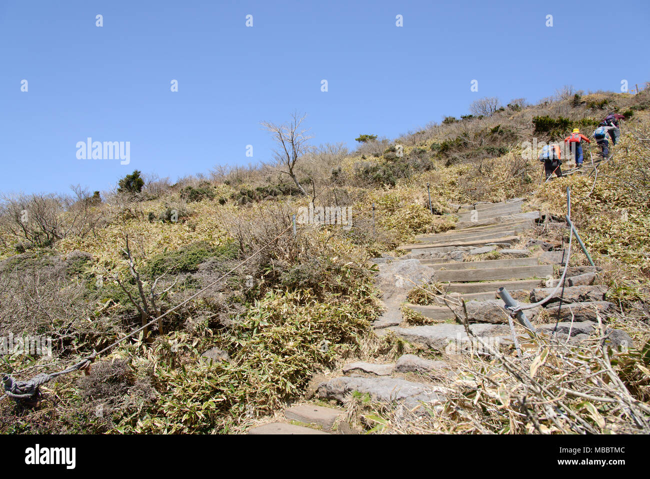 Jeju-do, Corée - 09 avril, 2015 Yeongsil en cours : Sentier de montagne Hallasan National Park dans l'île de Jéju, en Corée. Banque D'Images