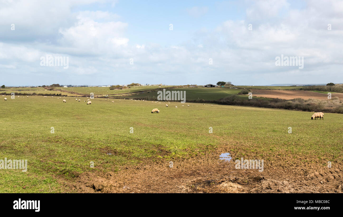 Une vue panoramique sur les terres agricoles en Cornouailles. Banque D'Images