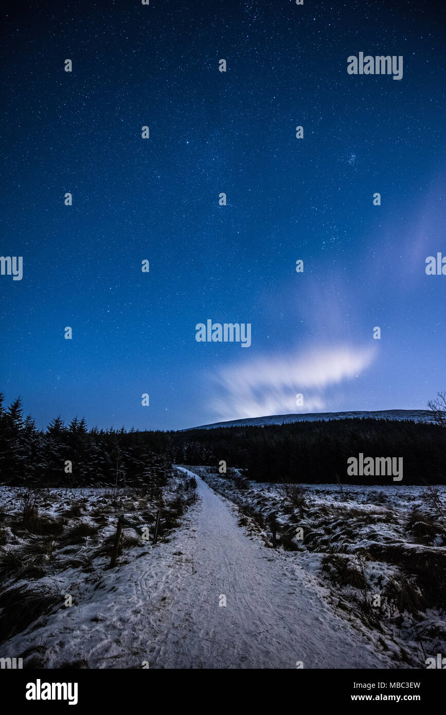 Un sentier qui mène dans la forêt près de Glasgow avec un ciel de nuit claire au-dessus Banque D'Images
