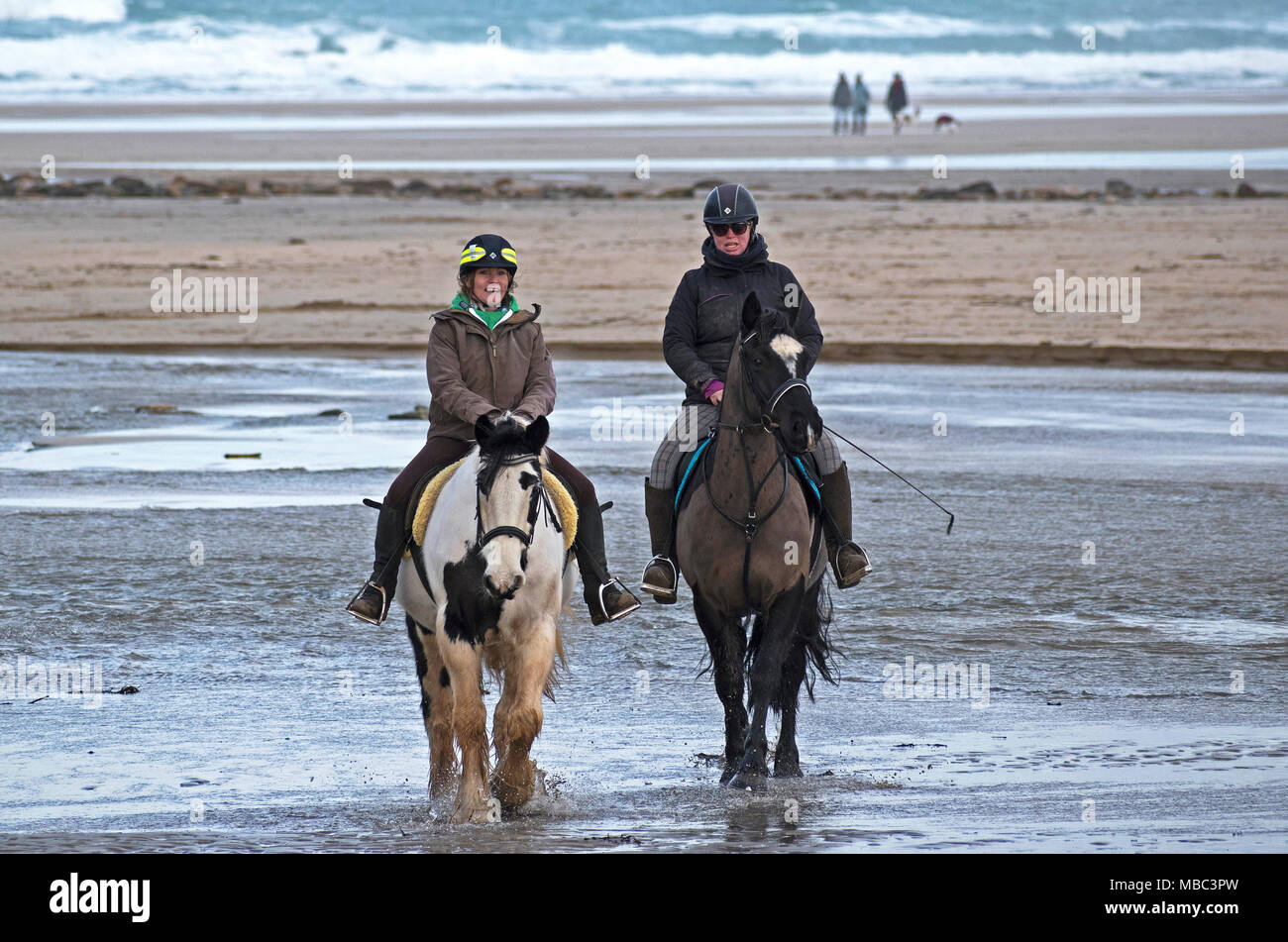 Les chevaux de selle sur broad oak beach Cornwall, en Angleterre, Grande-Bretagne, Royaume-Uni. Banque D'Images