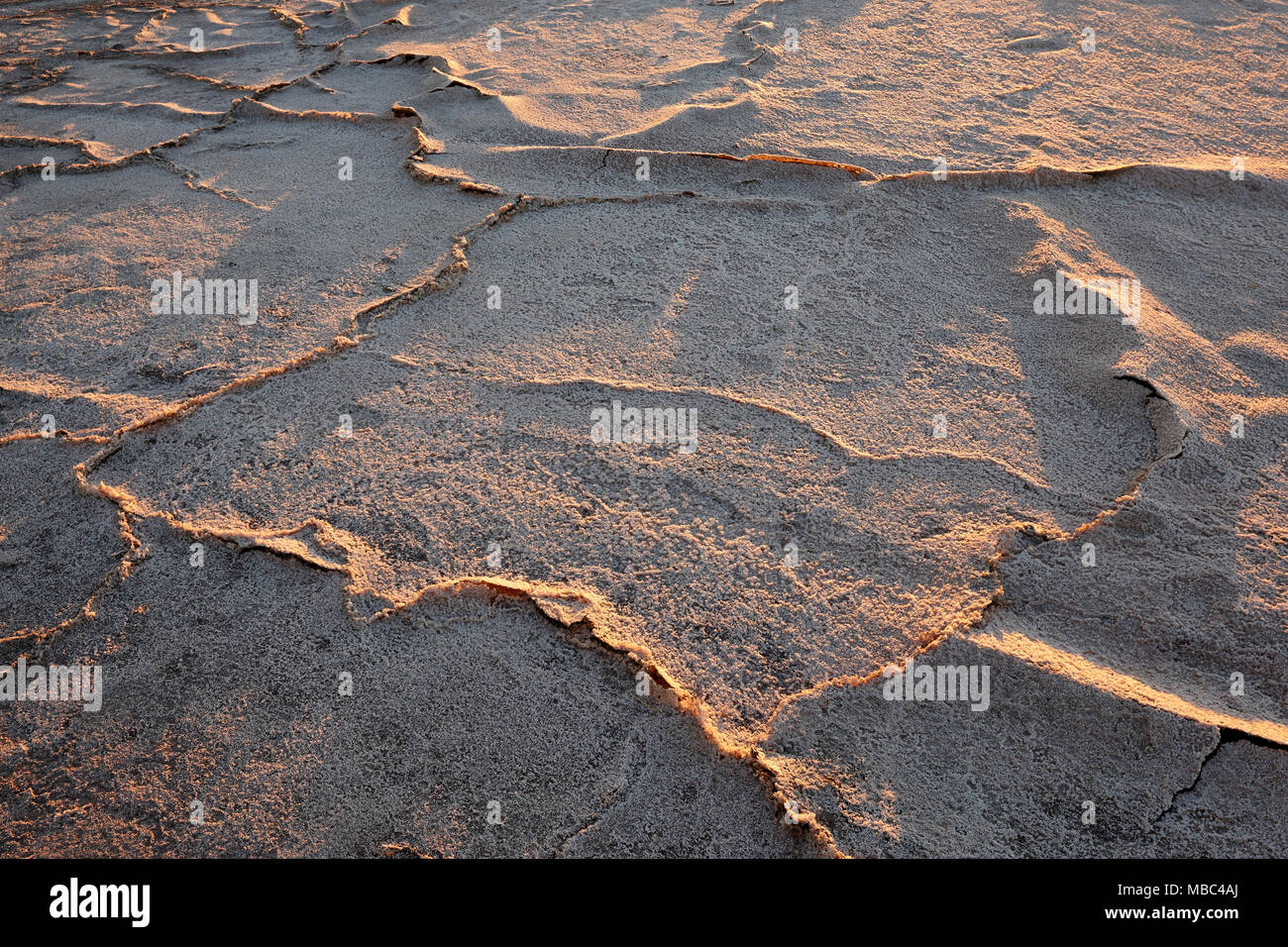 Croûte de sel se forme sur le lac à sec à la fin de l'été, près de Mildra, Victoria, Australie. Banque D'Images