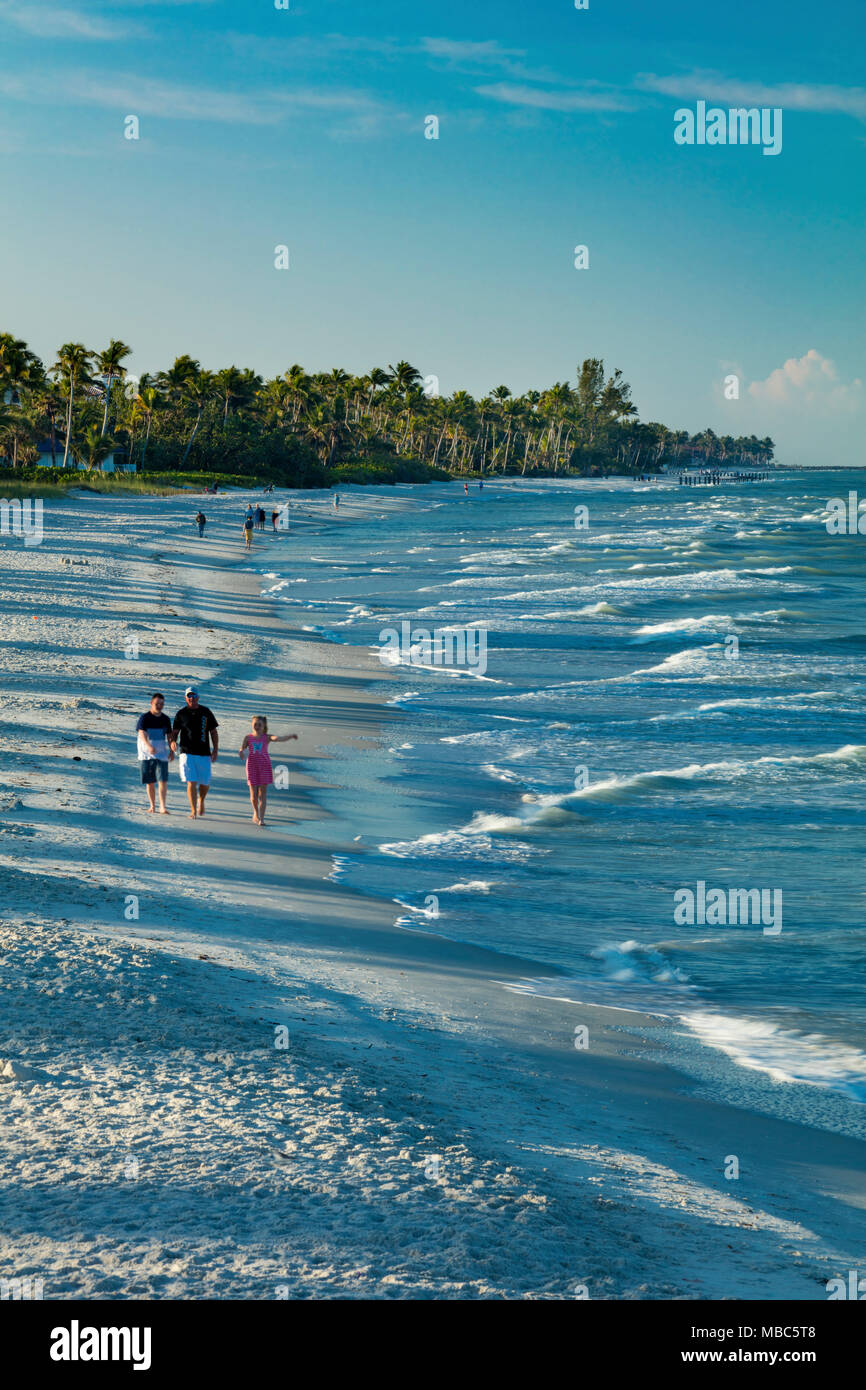 Tôt le matin, promenade sur la plage de la côte du golfe de la Floride près de la jetée de Naples, Naples, Florida, USA Banque D'Images