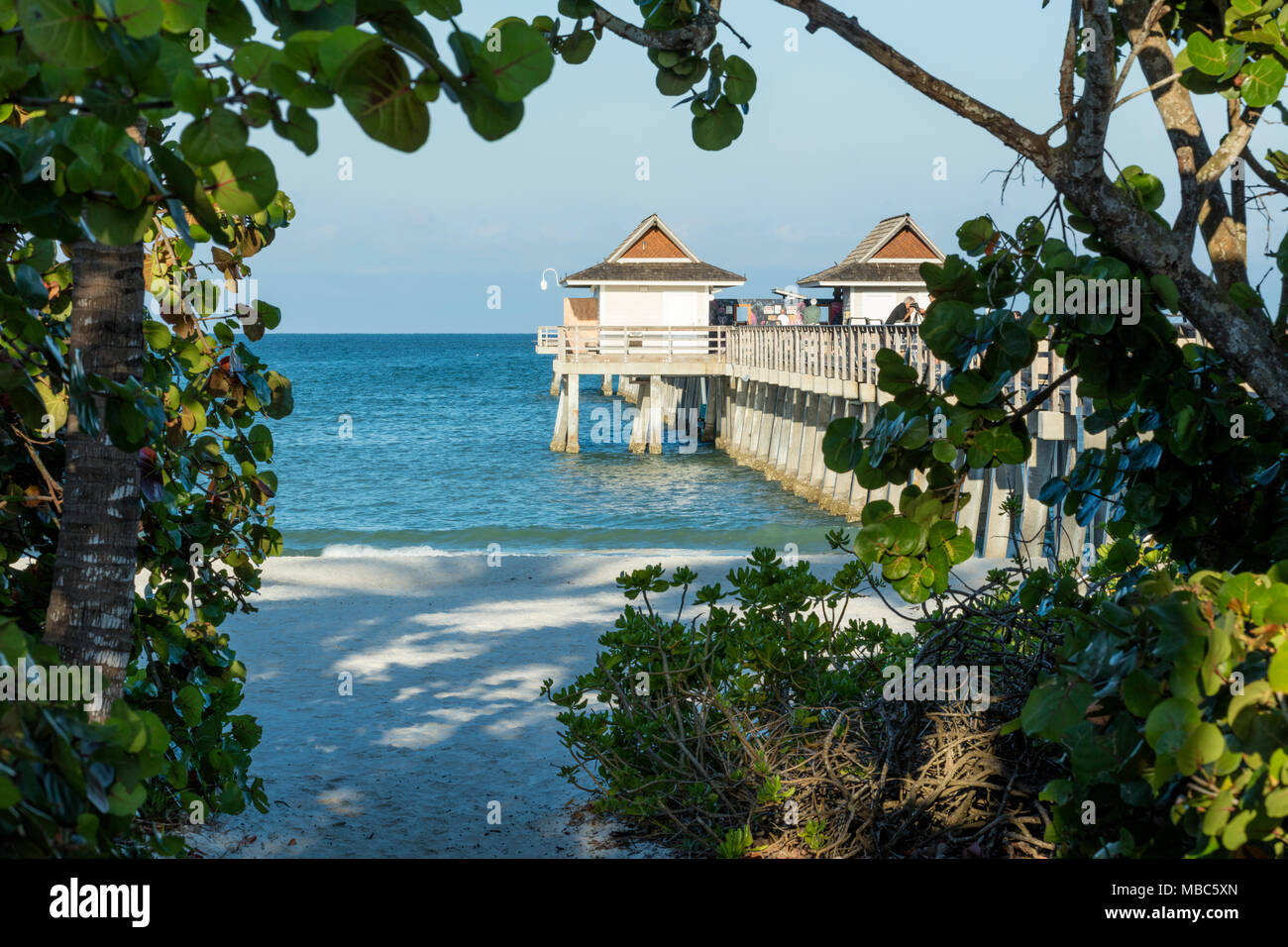 Tôt le matin, à la jetée de Naples le long de la côte du golfe de la Floride, Naples, Florida, USA Banque D'Images