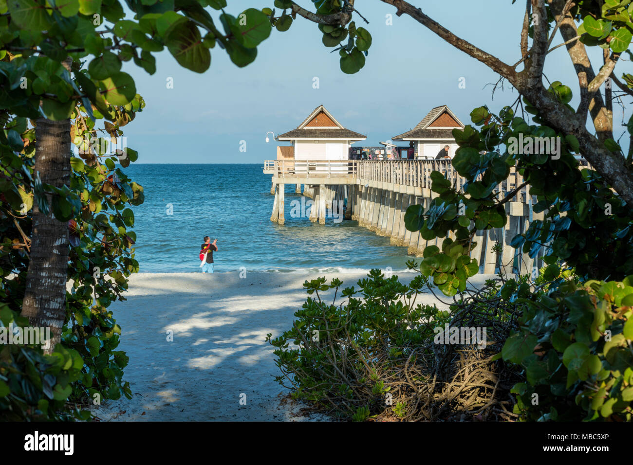 Tôt le matin, la pêche à la jetée de Naples le long de la côte du golfe de la Floride, Naples, Florida, USA Banque D'Images