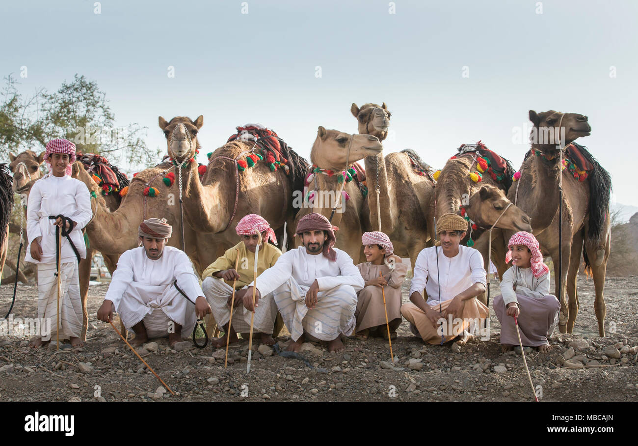 Khadal, Oman, le 7 avril 2018 : les hommes omanais avec leurs chameaux dans une campagne, en attente de la race Banque D'Images