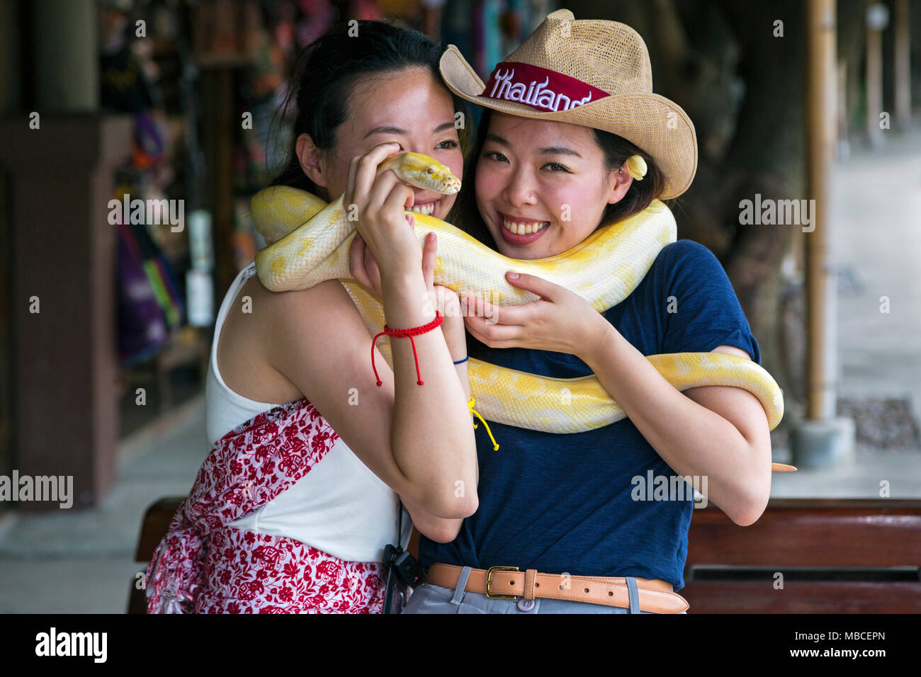 Les touristes asiatiques avec snake, Ratchaburi, Damnoen Saduak, Thaïlande Banque D'Images