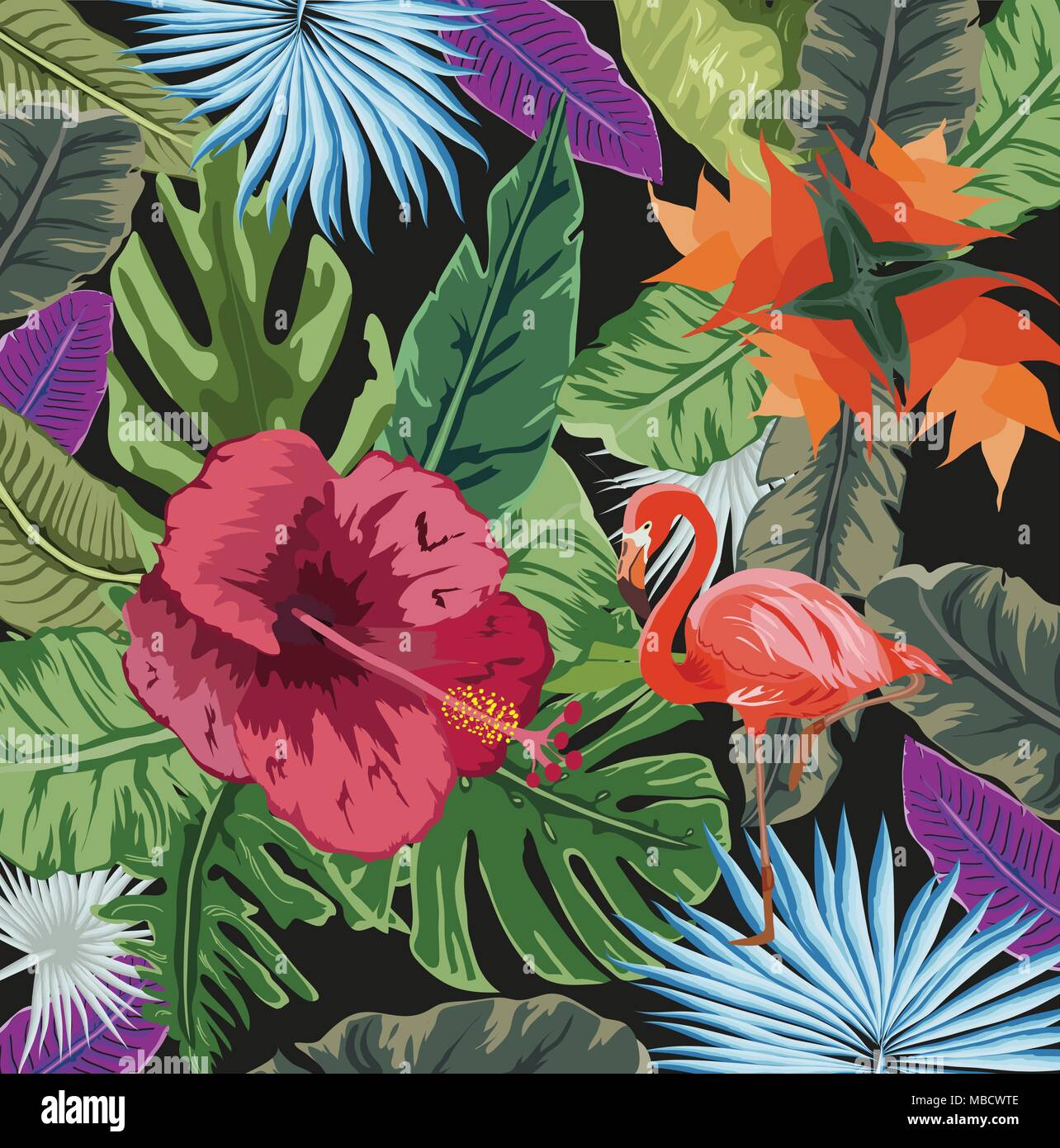 Datura Banque D Images Vectorielles Alamy