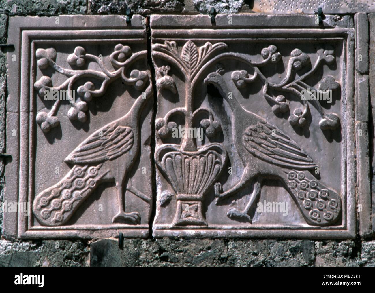 -Symboles paons Bas-relief d'un couple de paons, un des premiers chrétiens ensemble, symbole dans le mur de la cathédrale Saint-Marc, Venise. Banque D'Images