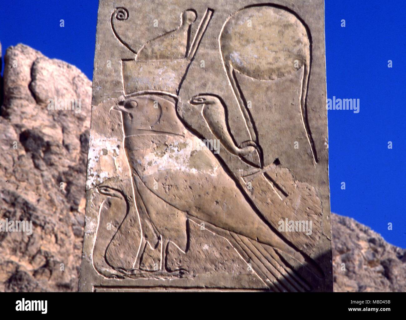 - La mythologie égyptienne - falcon couronné comme symbole d'Horus, tenant dans ses serres le principe conquis de l'obscurité, le serpent Set. Du temple d'Hathor dans le temple funéraire de la reine Hapshepsut, Louxor. - © / Charles Walker Banque D'Images