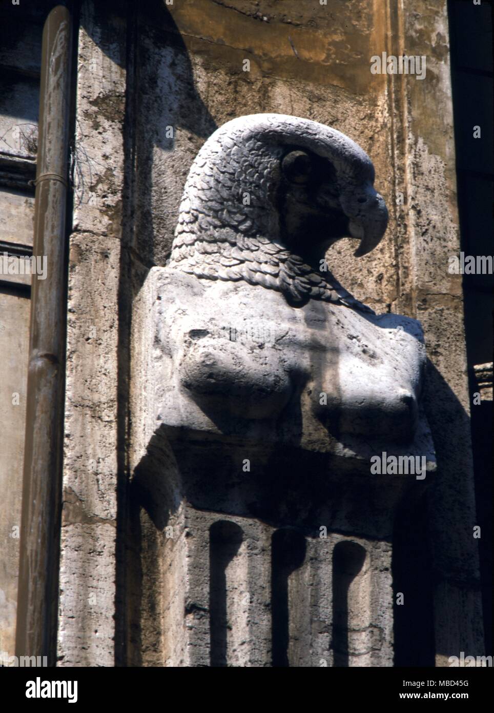 - La mythologie - la fin de l'image égyptienne médiévale d'Horus, sur l'Accademia en hongrois Via Gulia, Rome.- © / Charles Walker Banque D'Images