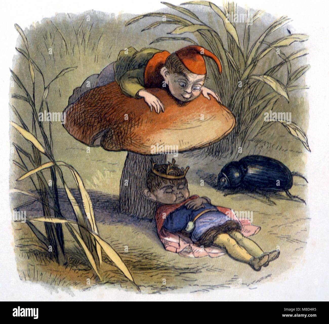 Elf King Banque D Image Et Photos Alamy Elf King Banque D Image Et Photos Alamy
