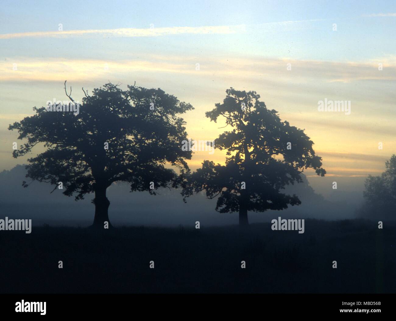 Brume matinale dans la campagne anglaise. Banque D'Images