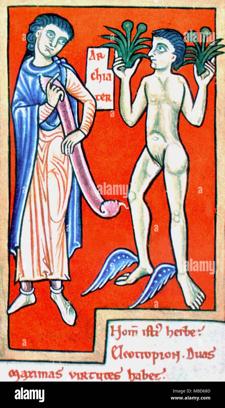 Le dieu Mercure (avec pieds) ailé portant la herb Electropion à Homère. À partir d'une treizième siècle dans l'Ashmolean de fines herbes. Photo de la plaque dans l'édition 1928 de Charles Singer. - © /Charles Walker Banque D'Images