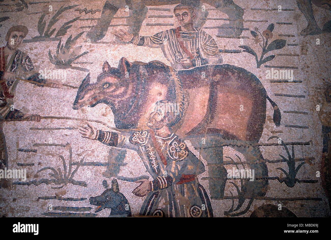 Animaux - rhinoceros - rhino dans le cadre de scène de chasse en mosaïques romaines du 3e siècle dans la grande villa romaine du Casale, près de Piazza Armerina. C'est l'un des plus beaux vestiges de l'époque romaine. - © / Charles Walker Banque D'Images