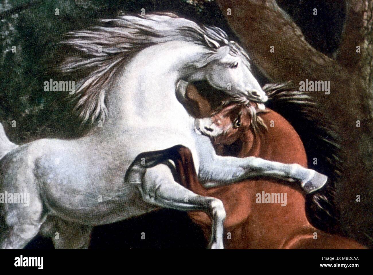 La lutte contre les chevaux - gravure par G. T. Stubbs, après la peinture de George Stubbs. Détail - © / Charles Walker Banque D'Images