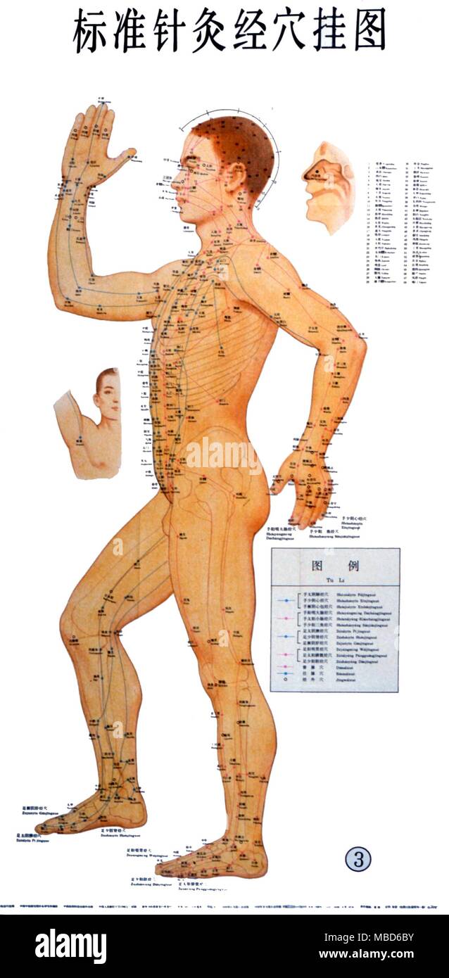 L'Acupuncture - Tableau - tableau de l'acuponcture chinoise, montrant les lignes de guérison sur le côté gauche du corps. ©2004 Charles Walker / Banque D'Images