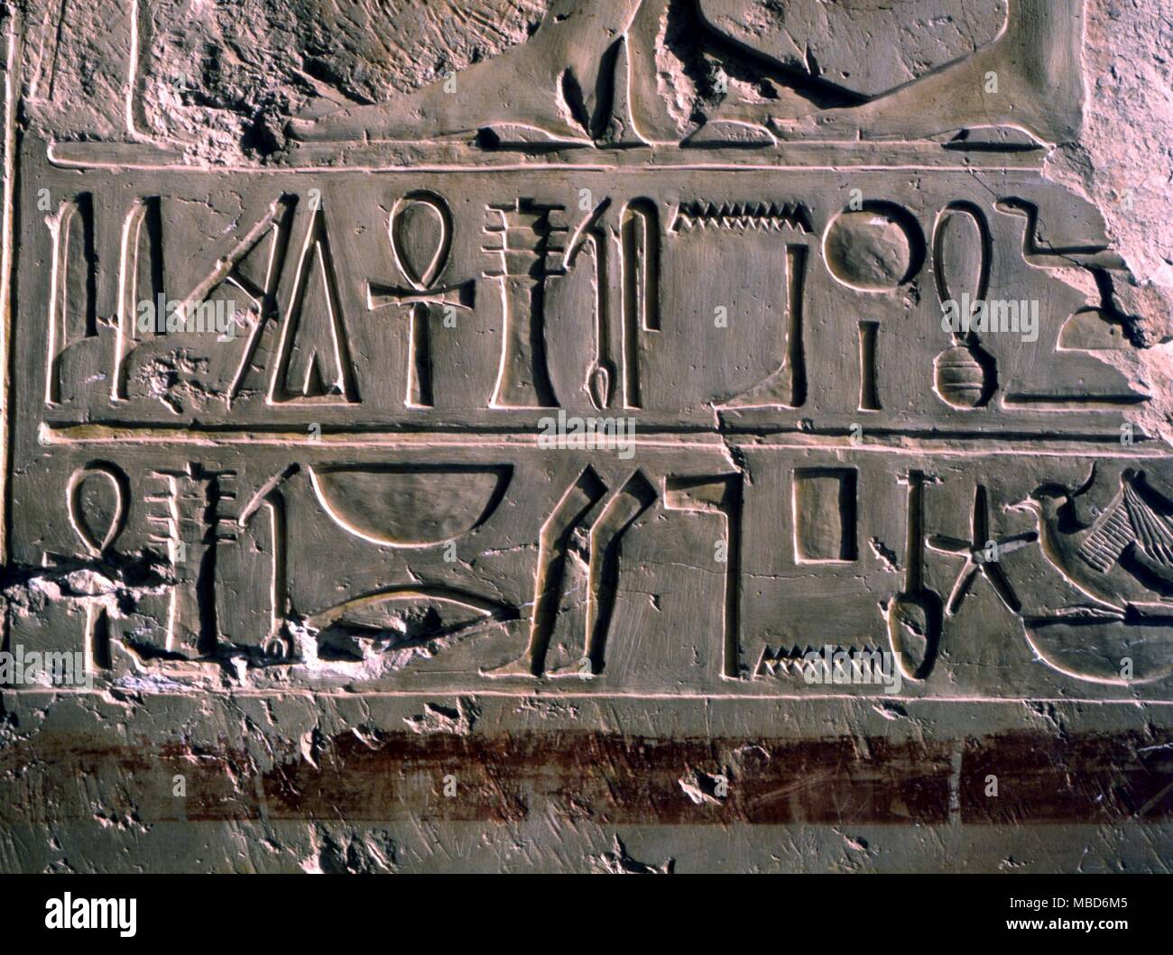 La mythologie égyptienne - Alphabets - hiéroglyphes - détails de la Sainte Écriture sur le mur du temple funéraire de Hapshepsut Thèbes, près de Luxor Banque D'Images