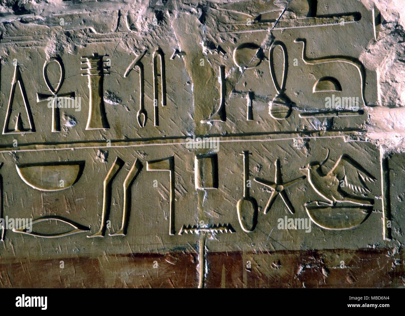 La mythologie égyptienne - Alphabets - hiéroglyphes - détails de la Sainte Écriture sur le mur du temple funéraire de Hapshepsut Thèbes, près de Luxor Banque D'Images