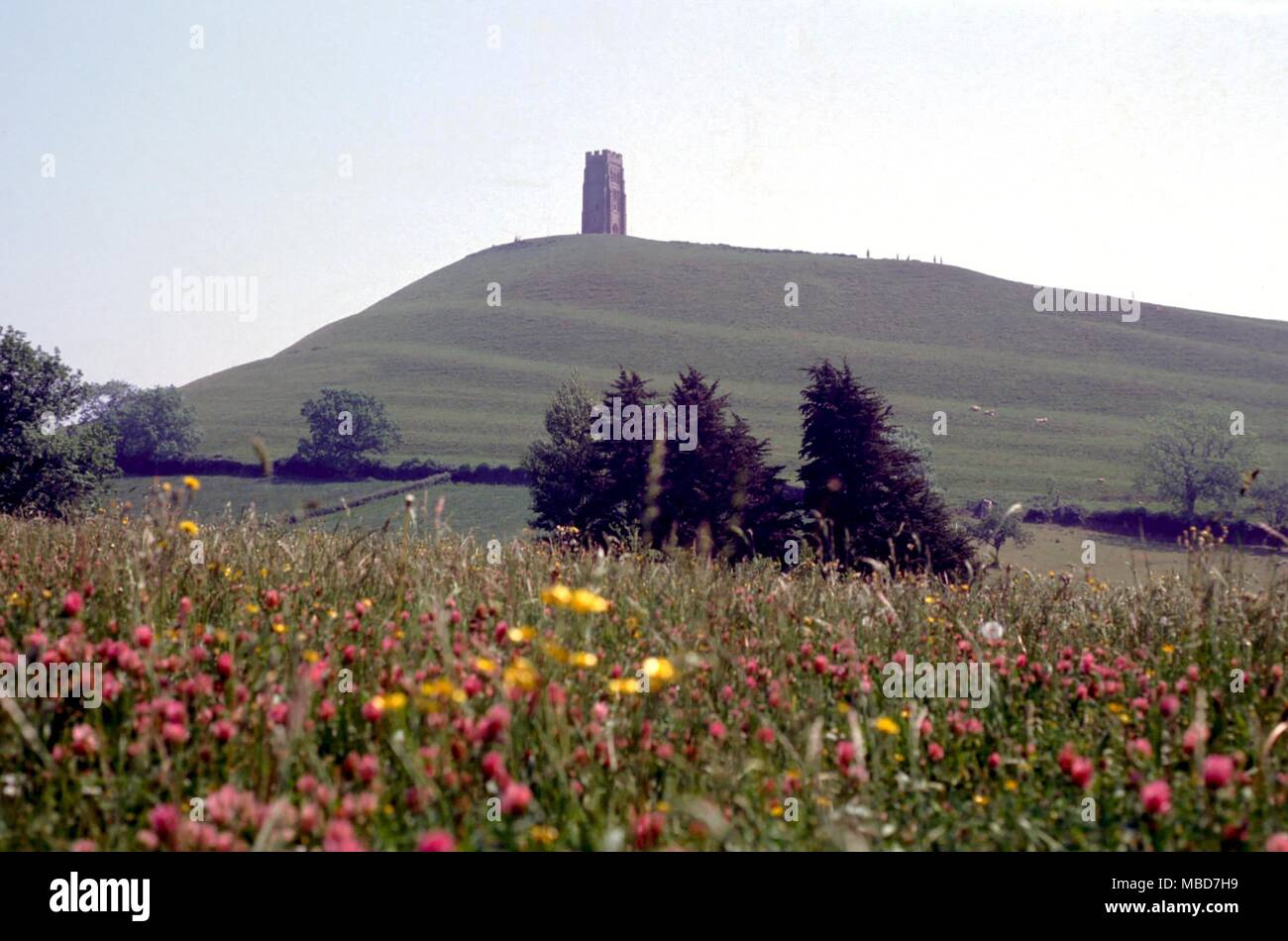 GLASTONBURY Tor de Glastonbury, surmontée par l'église en ruine de St Michel. Il est estimé par certains que Joseph d'Arimathie enterré le Saint Calice sous la Tor Banque D'Images