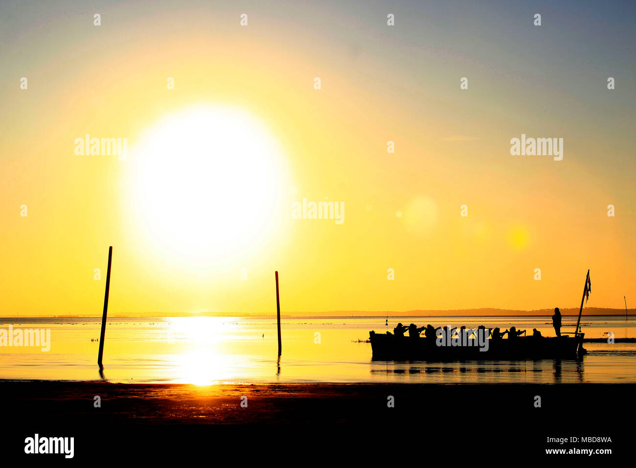 Les barges traditionnelles et les gens l'aviron au coucher du soleil à Andernos-les-Bains, Arcachon Banque D'Images