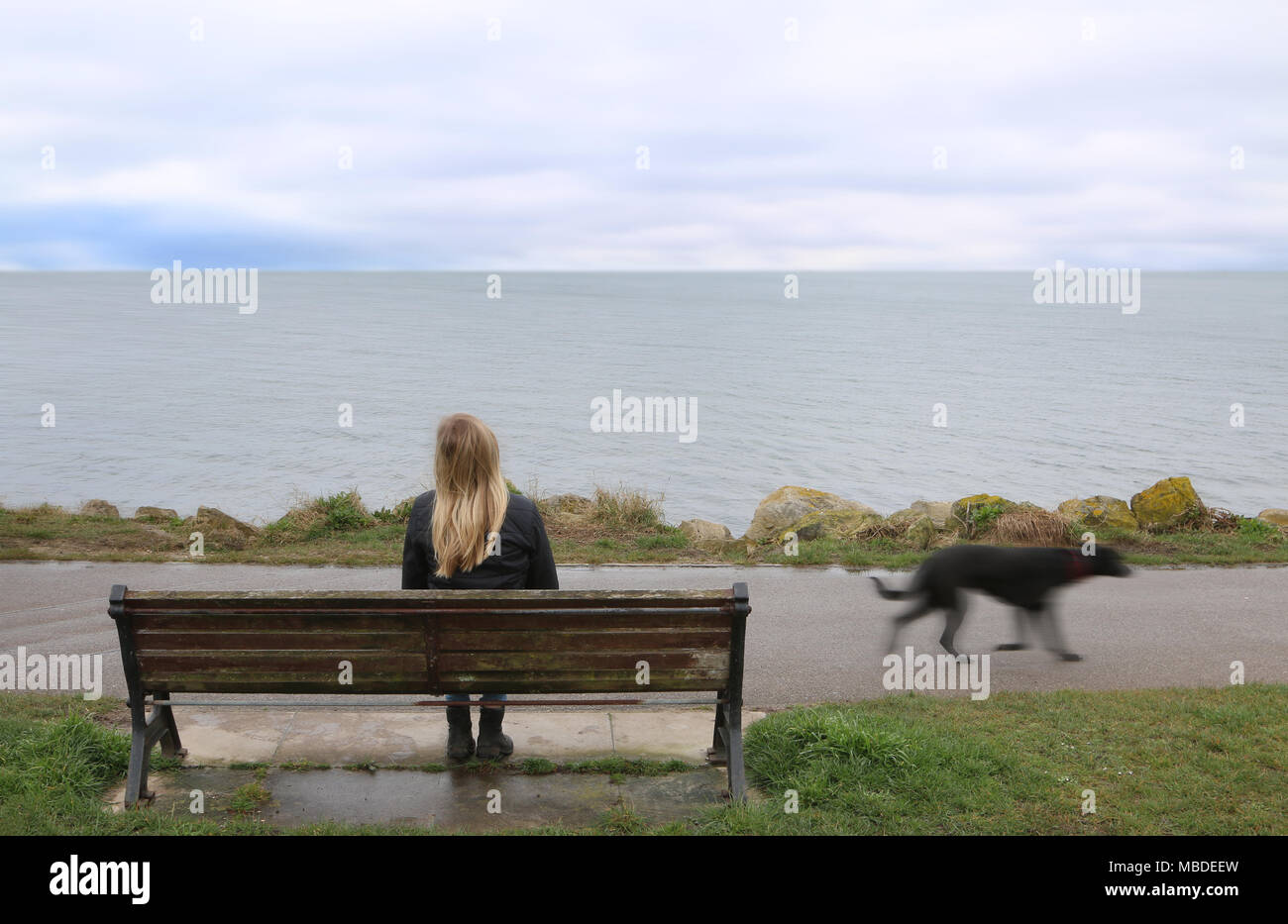 Jeune femme assise face à la mer comme un chien marche dernières Banque D'Images