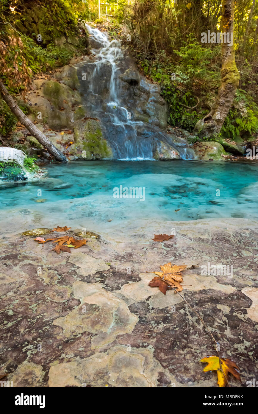 Ruisseau de montagne dans la forêt Banque D'Images