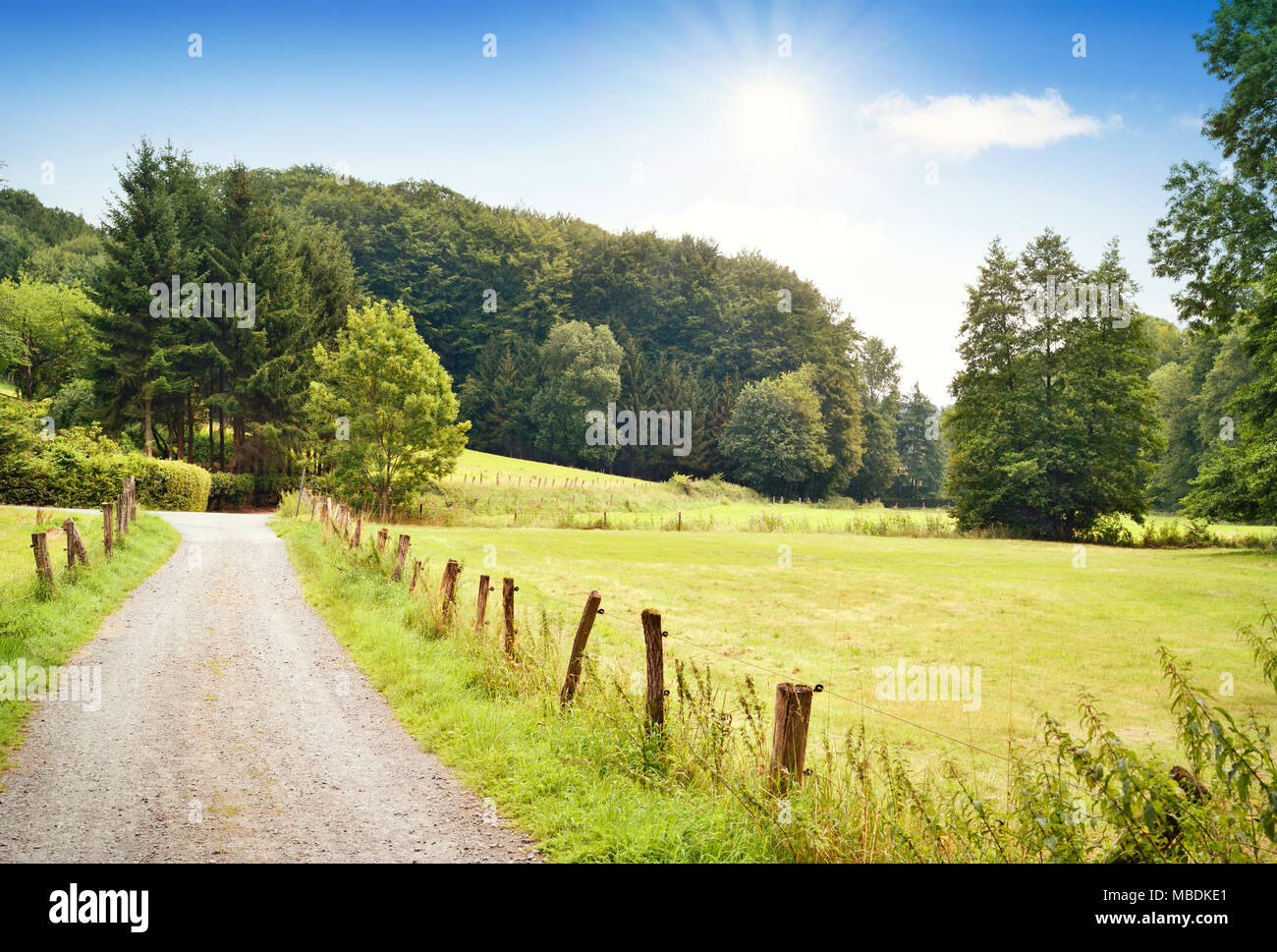 Route de campagne ou chemin idyllique à travers champs et forêt. Campagne avec soleil et ciel bleu. Banque D'Images