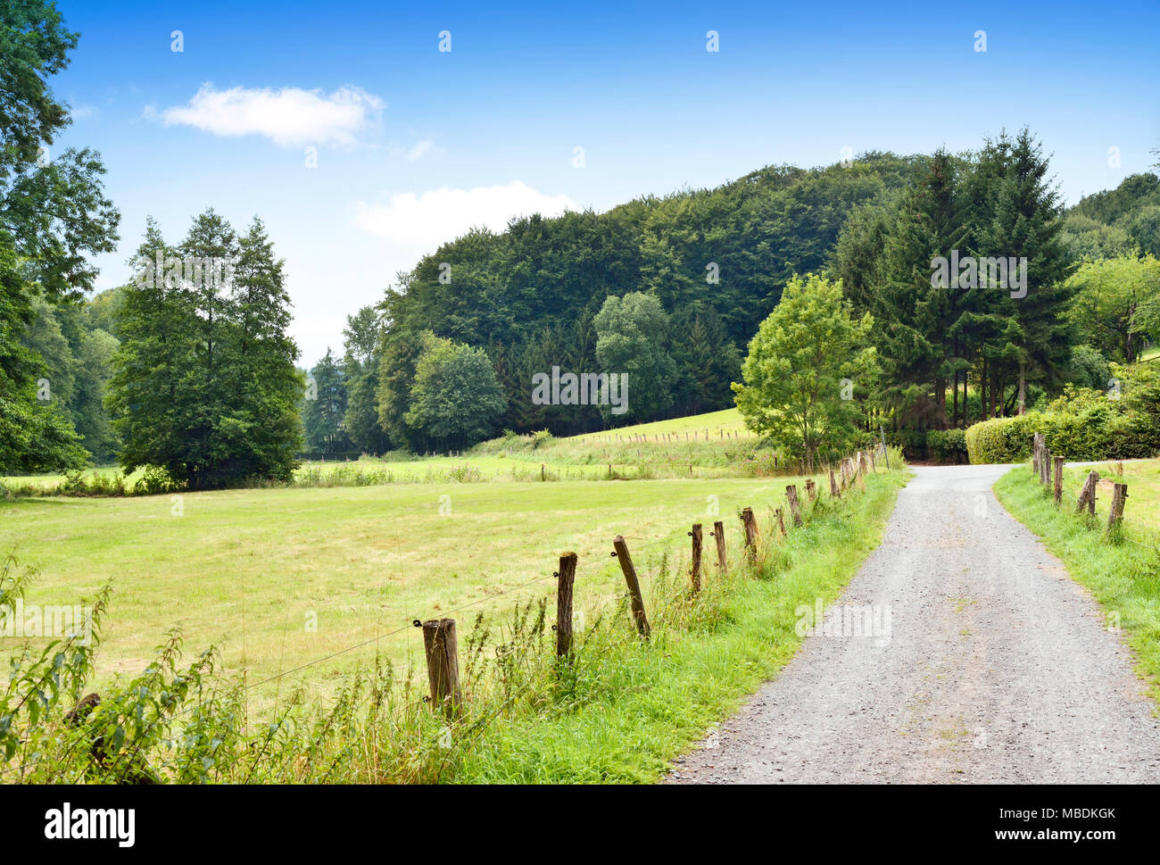 Route de campagne ou chemin idyllique à travers champs et forêt. Campagne avec soleil et ciel bleu. Banque D'Images