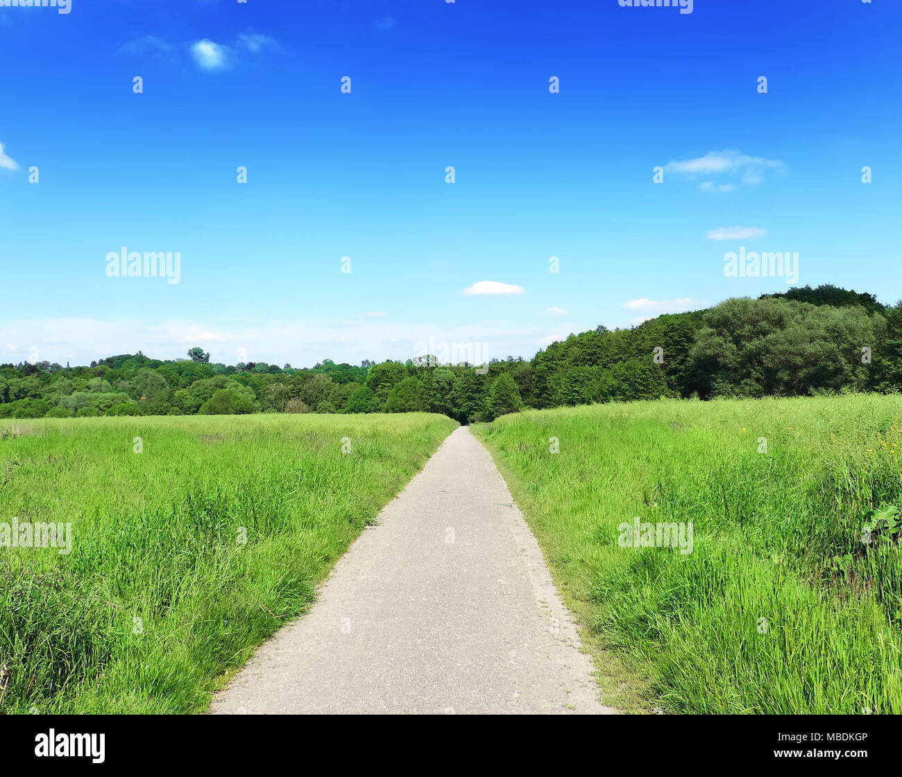 Route de campagne ou chemin idyllique à travers champs et forêt. Campagne avec soleil et ciel bleu. Banque D'Images