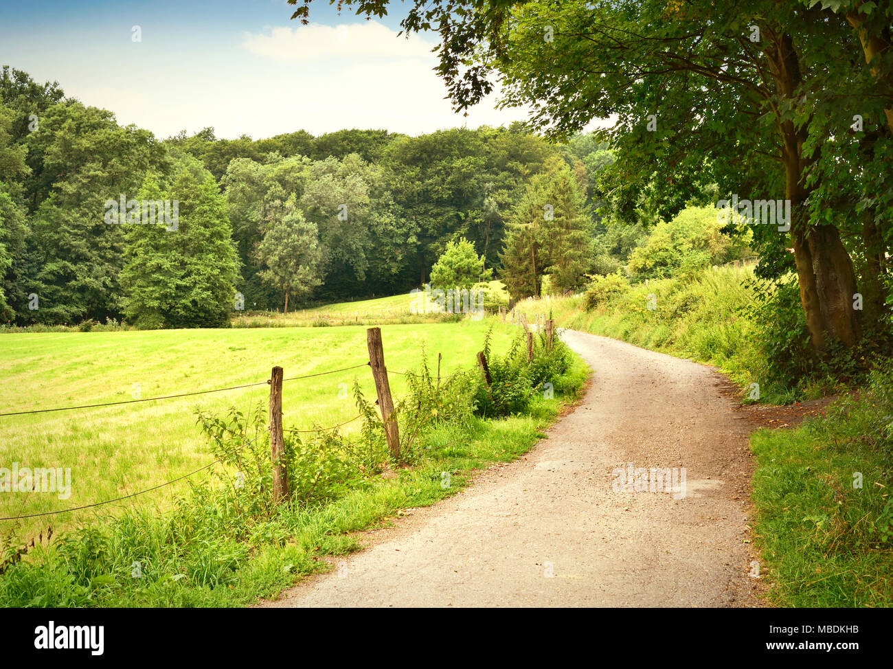 Route de campagne ou chemin idyllique à travers champs et forêt. Campagne avec soleil et ciel bleu. Banque D'Images