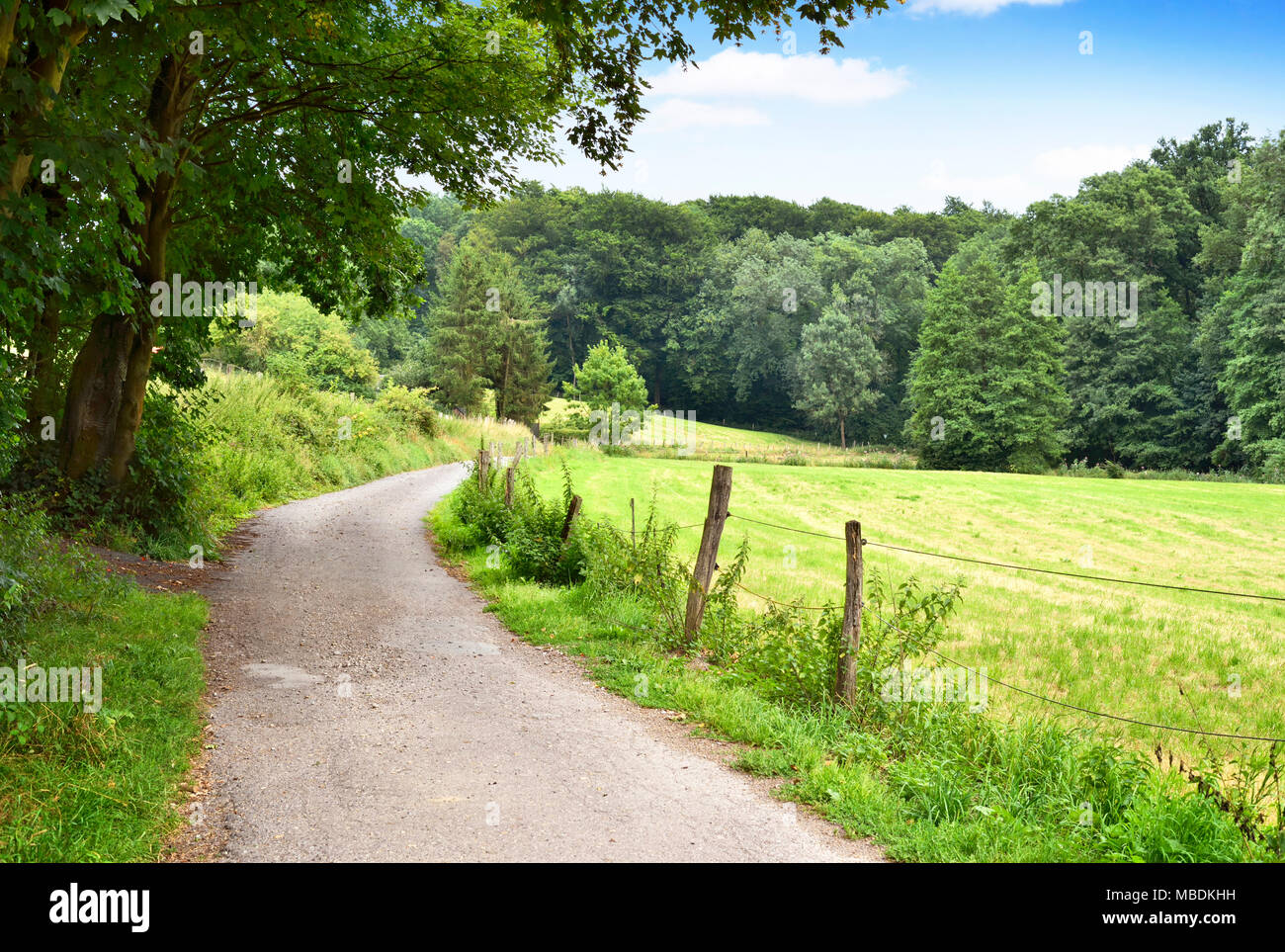 Route de campagne ou chemin idyllique à travers champs et forêt. Campagne avec soleil et ciel bleu. Banque D'Images