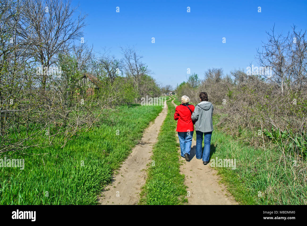 Une marche quotidienne détendue grâce à la nature de deux amies. Banque D'Images