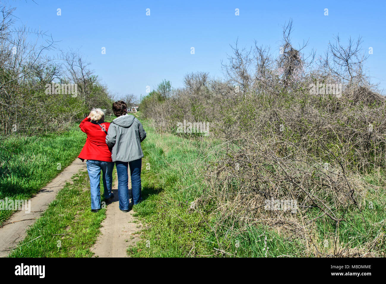 Une marche quotidienne détendue grâce à la nature de deux amies. Banque D'Images