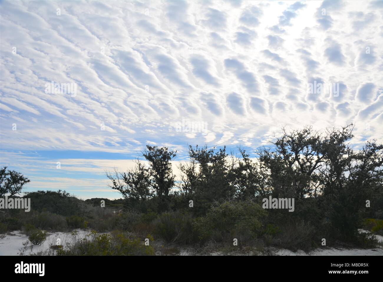 La formation de nuages unique juste avant le coucher du soleil sur les plages de Gulf Shore, New York Banque D'Images