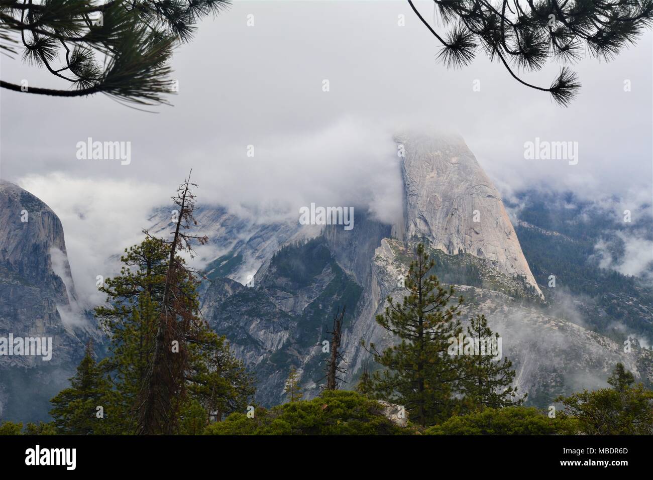 Glacier Point en matin brouillard à Yosemite National Park, Californie Banque D'Images