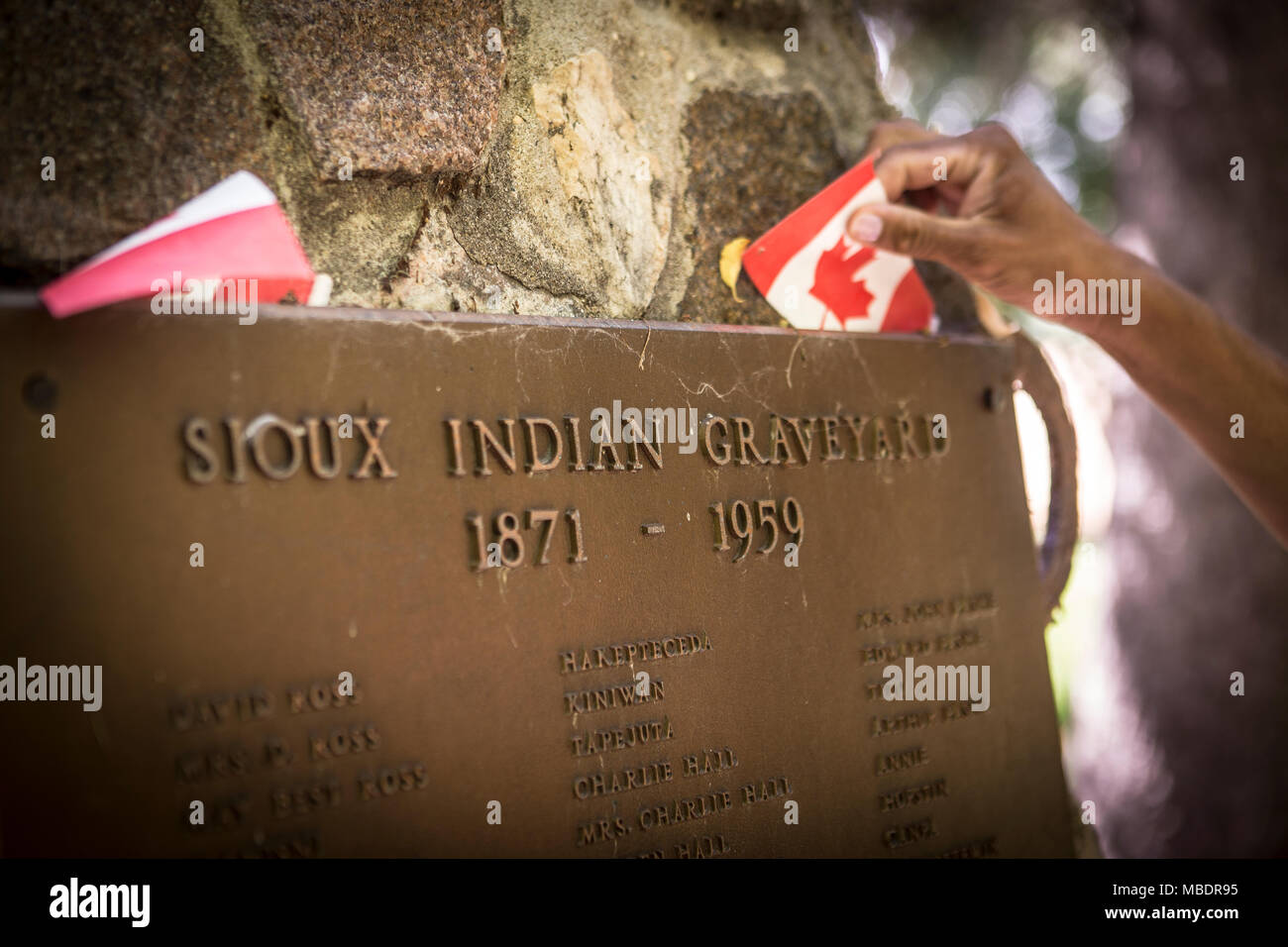 Une femme régler un drapeau canadien sur une plaque commémorative à un cimetière indien Sioux près de Portage La Prairie, au Manitoba, le lundi 17 août, 2015. Banque D'Images