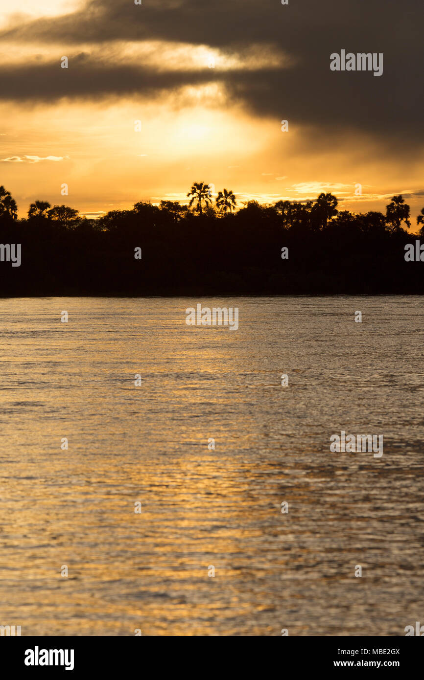 Coucher du soleil doré sur le fleuve Zambèze, près de Victoria Falls au Zimbabwe, l'Afrique. La voie d'eau s'écoule vers les chutes Victoria, plusieurs kilomètres en aval. Banque D'Images