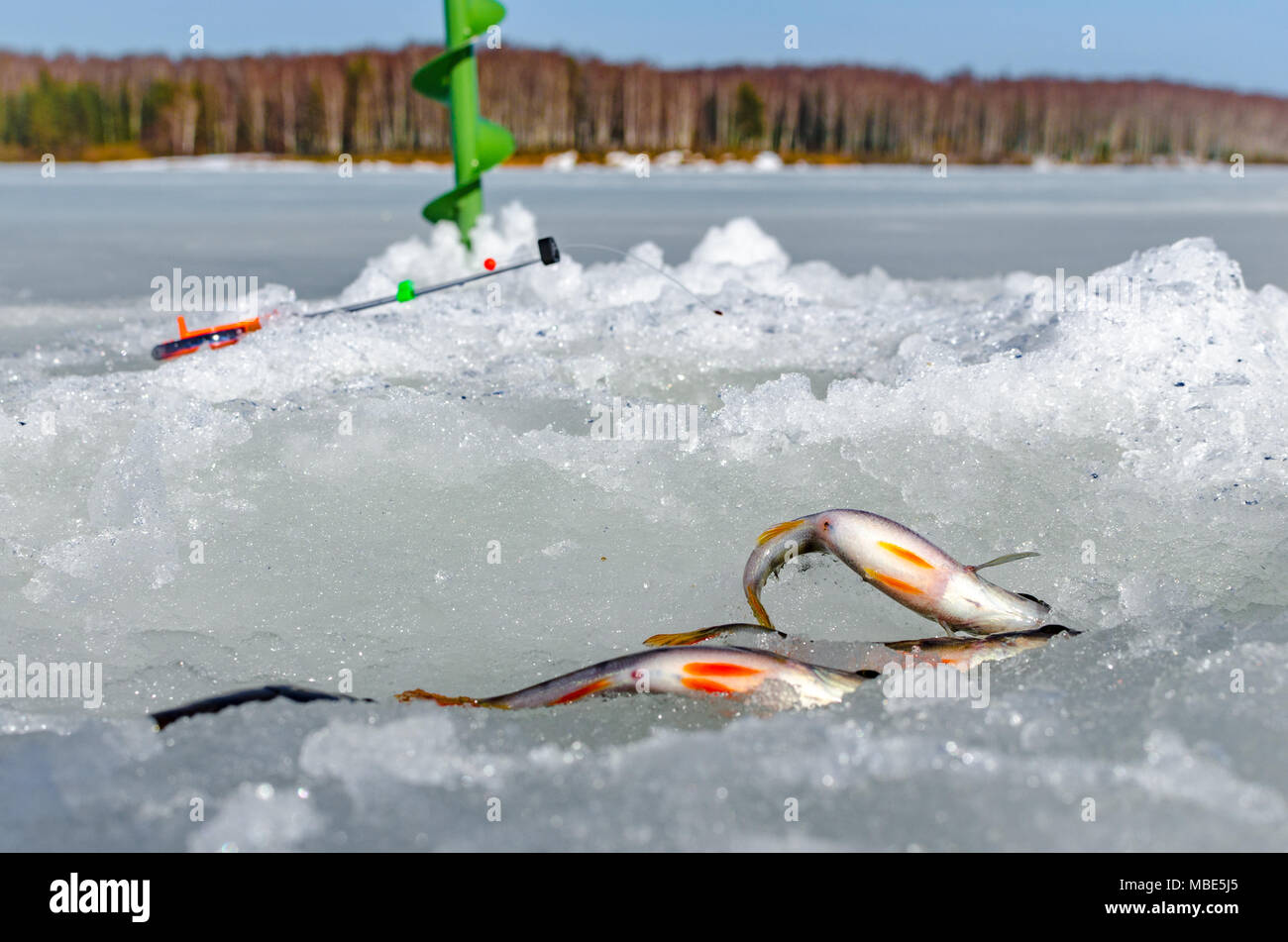 Pêche à partir de la glace d'hiver Banque D'Images