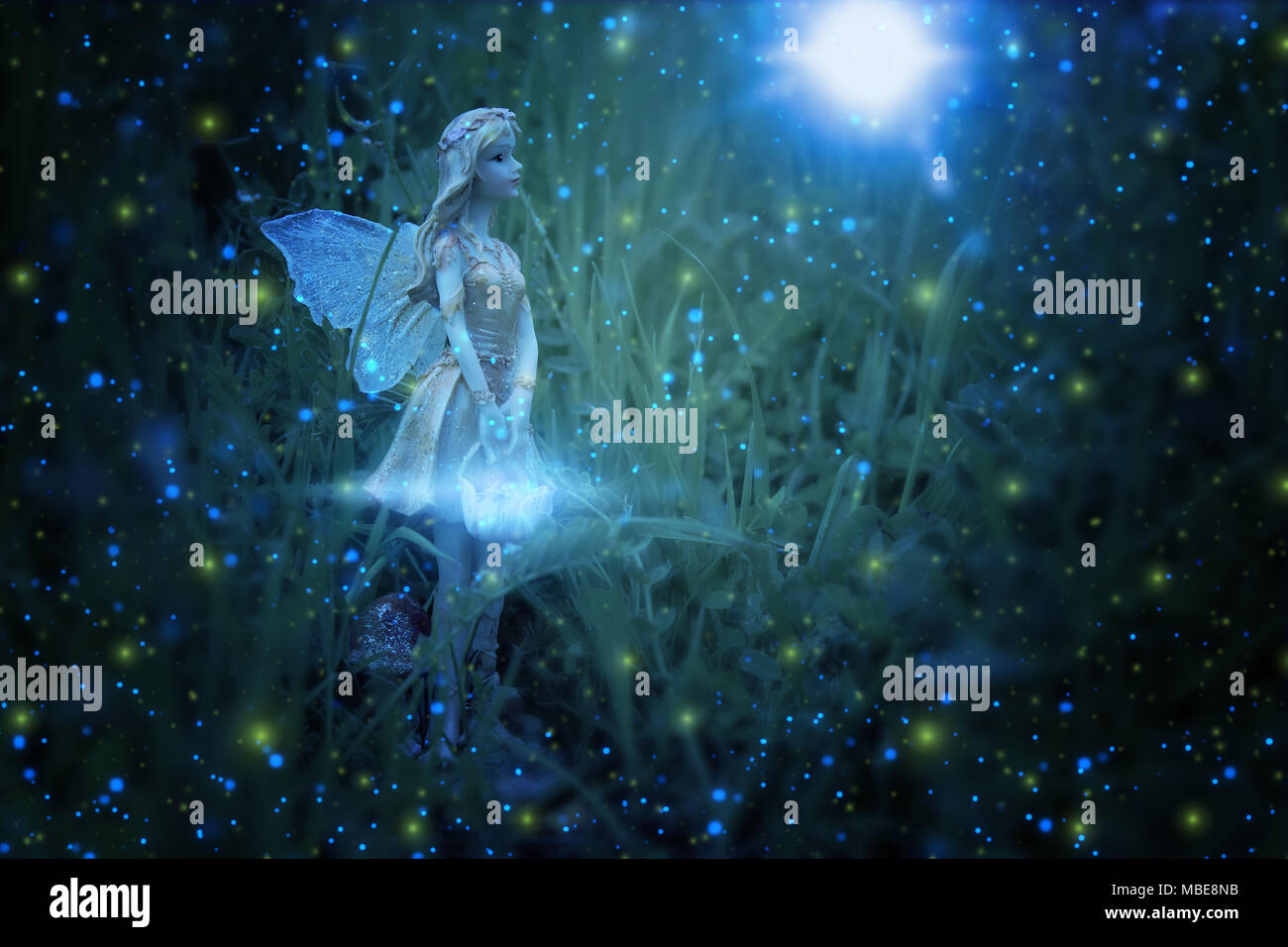 Image De Petite Fee Magique Dans La Foret De Nuit Photo Stock Alamy Image De Petite Fee Magique Dans La Foret De Nuit Photo Stock Alamy