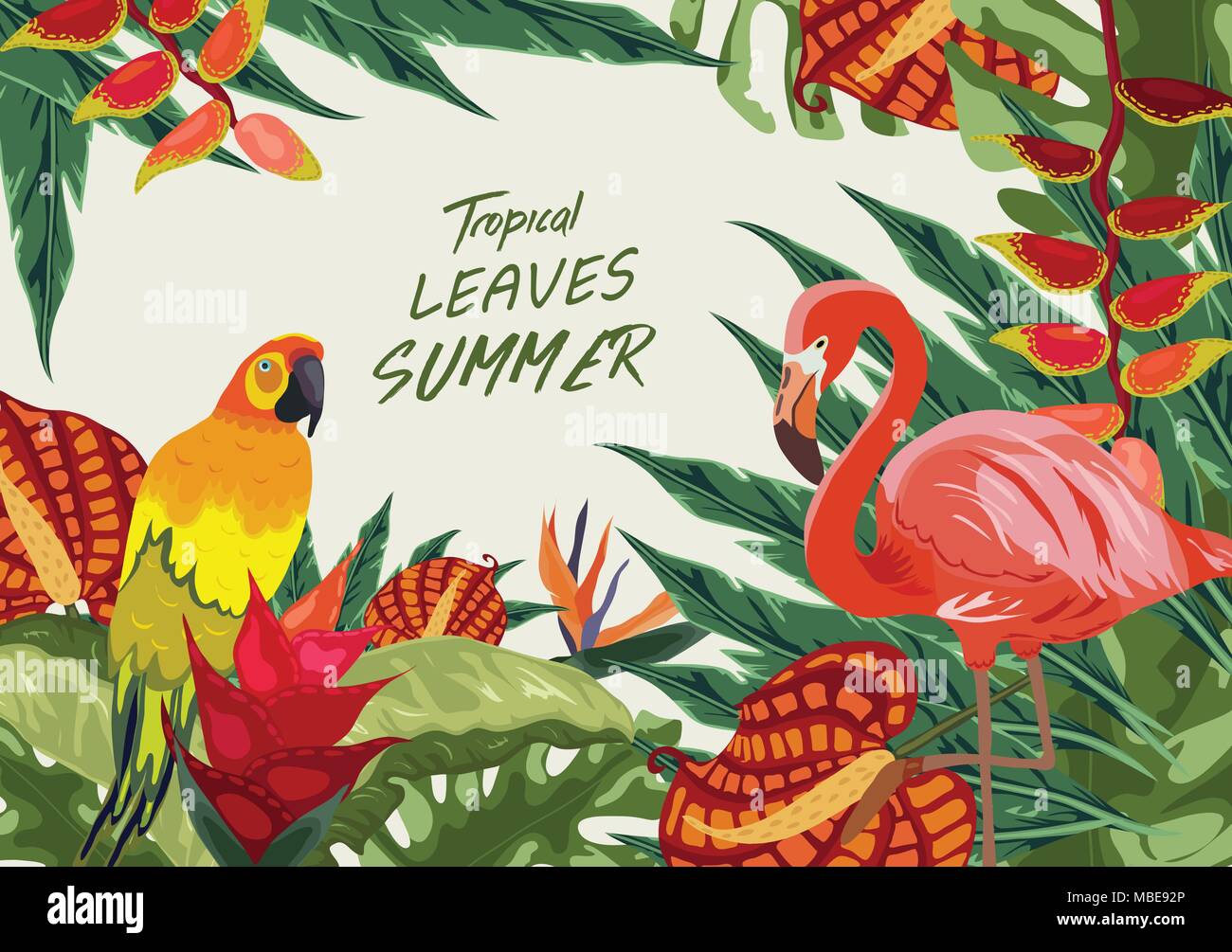 Jungle Tropical Rainforest plantes fleurs Oiseaux, flamingo , toucan border background Illustration de Vecteur