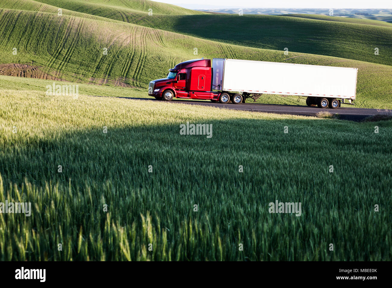 Bien que la conduite de camions commerciaux de champs de blé l'Est de Washington, USA au coucher du soleil. Banque D'Images
