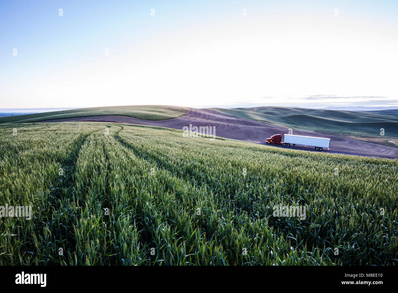 Bien que la conduite de camions commerciaux de champs de blé l'Est de Washington, USA au coucher du soleil. Banque D'Images